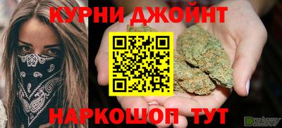 a pvp Новозыбков
