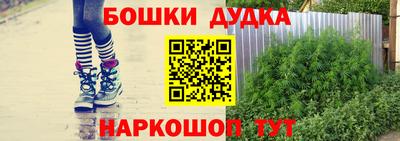 a pvp Новозыбков