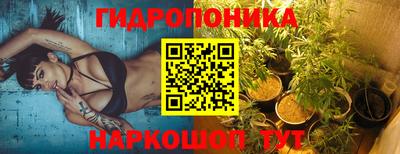 мяу мяу мука Новокубанск