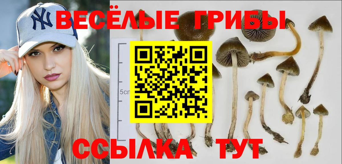 Псилоцибиновые грибы прущие грибы Арзамас